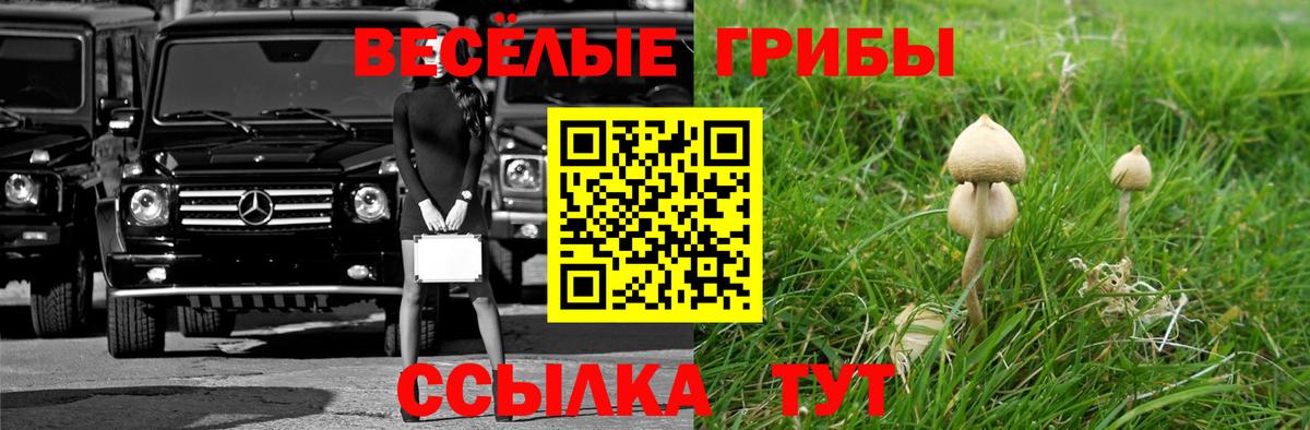 Галлюциногенные грибы мицелий Тавда