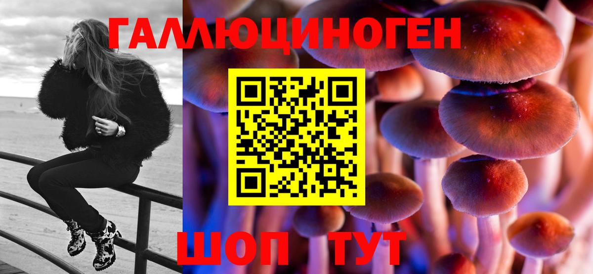 Псилоцибиновые грибы мицелий  Вход с VPN  купить закладку  Тавда 
